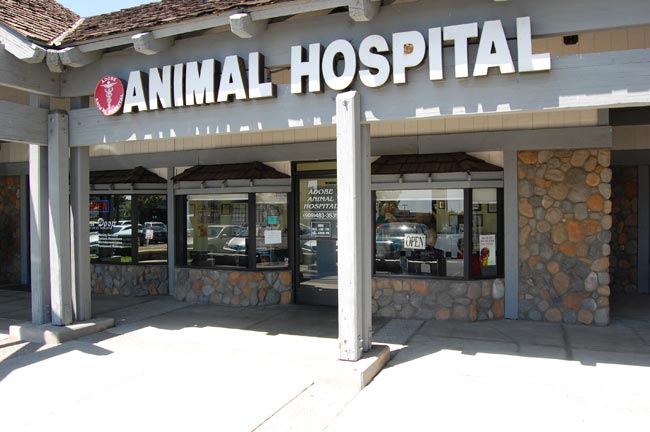 Adobe Animal Hospital Entrance Located at 6331 Haven Rd Suite 4 in Rancho Cucamonga