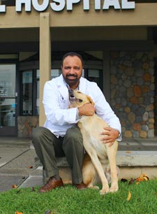 Dr Aulakh, Veterinarian In Rancho Cucamonga