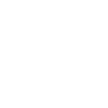 Domestic Pet Travel Support