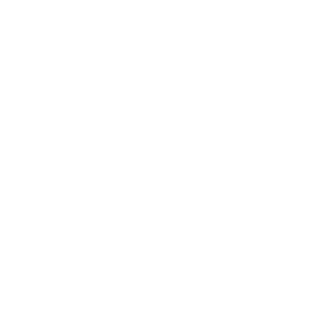 Personalized Senior Pet Wellness Plans