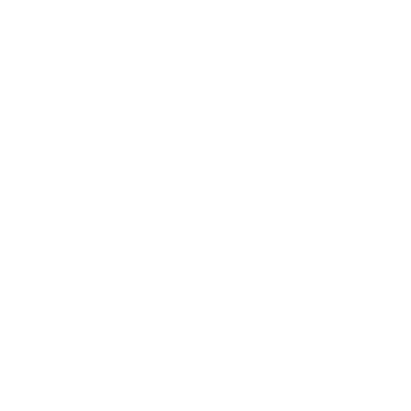 Pet Injuries care