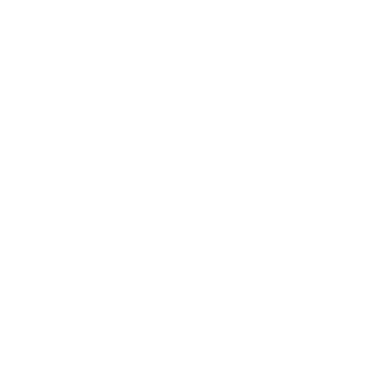 Pet Travel Certificates Made Simple