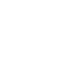 Safe and Thorough Pet Surgery
