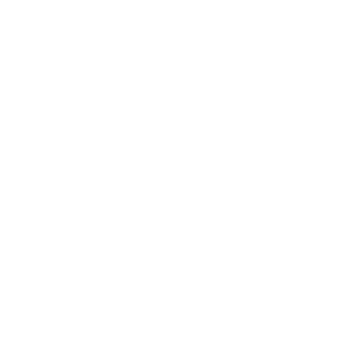 Same-Day Veterinary Care