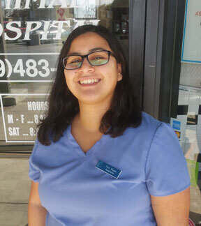 Toni, Veterinary Receptionist