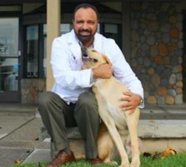 dr-Anantjit aulakh-dvm