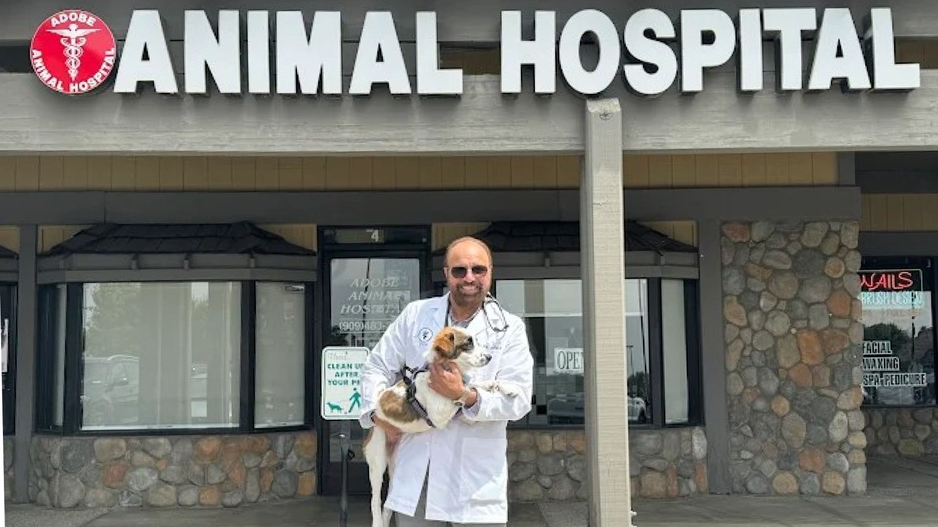 Adobe Animal Hospital