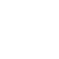 Compassionate Palliative Care for Pets