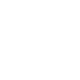 Kidney
